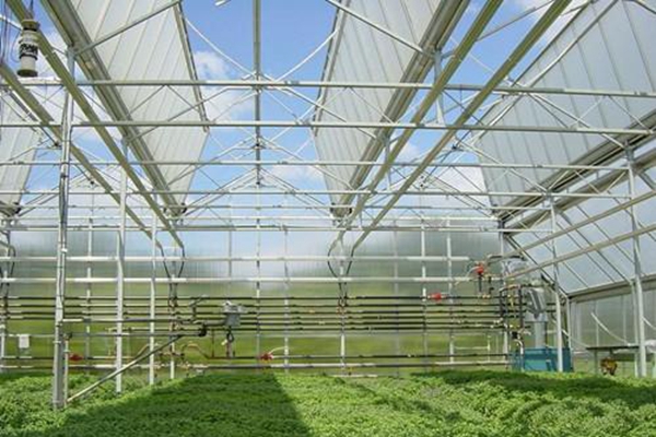 2021年,山西設施農業(yè)如何發(fā)展?.jpg