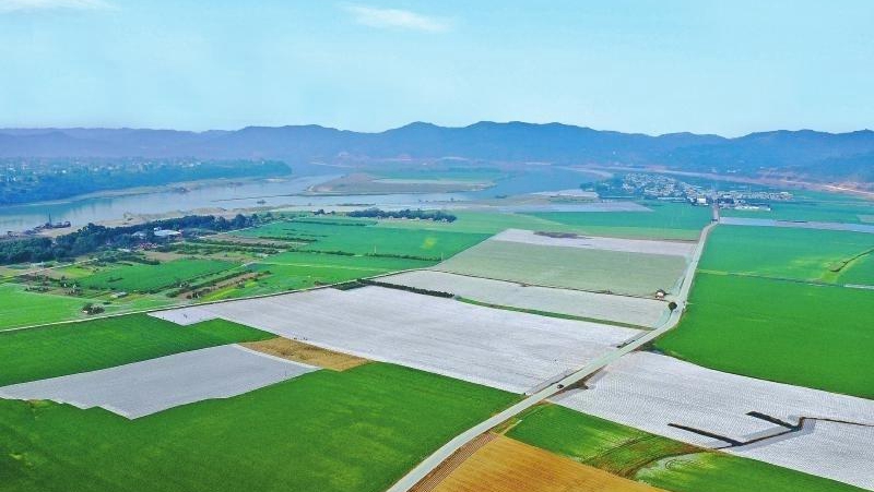 2020年四川糧食產量突破700億斤