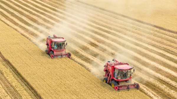 解碼中國經濟穩健前行的底氣 解碼中國經濟穩健前行的底氣