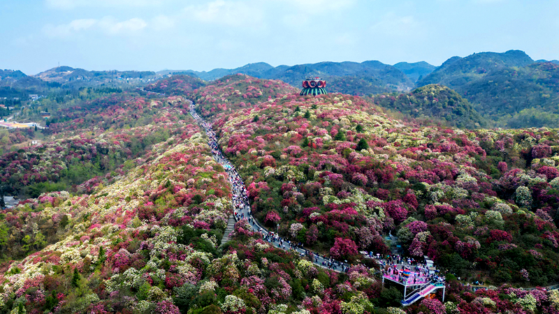 這里,憑什么是中國鄉(xiāng)村發(fā)展的縮影? 這里,憑什么是中國鄉(xiāng)村發(fā)展的縮影?